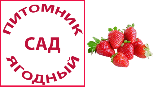 logo2
